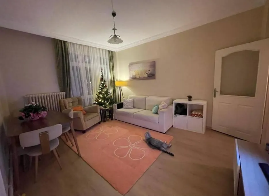 Cosy And Fully Furnished 2 Bedroom Apartment Istambul