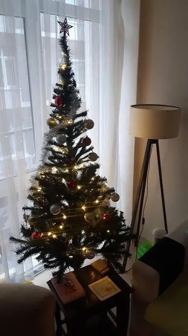 Cosy And Fully Furnished 2 Bedroom Apartment Istambul