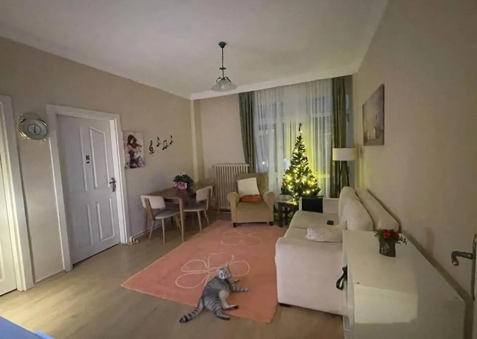 Cosy And Fully Furnished 2 Bedroom Apartment Istambul